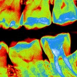 Schmidt Brian J DDS - Dentists in New Orleans