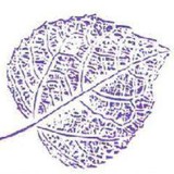 Aspen Clinic - Other in Slidell