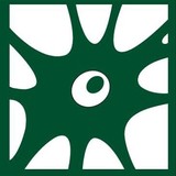 Flynn Thomas B MD - Doctors in Baton Rouge