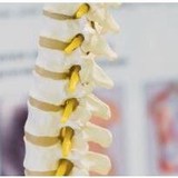 Newton Square Chiropractic - Chiropractors in Worcester