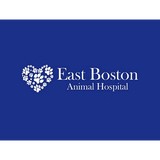 East Boston Animal Hospital - Veterinarians/Vets in Boston