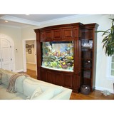 Aqua Vision Tech LLC - Other in West Bridgewater