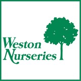 Weston Nurseries Inc - Garden Centres in Chelmsford