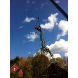 Princeton Tree Service - Tree Services in Princeton