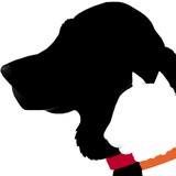 Baypath Humane Society - Other in Hopkinton