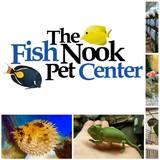 Fish Nook Pet Center - Pet Stores in Acton