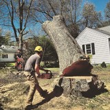 Kent Tree And Landscape - Landscaping in Jefferson City