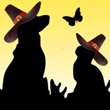 Especially For Pets Inc - Pet Stores in Acton