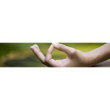 Amethyst Point Holistic Center - Addiction Services & Rehabilitalion in Worcester