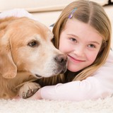 Merican Chem-Dry Carpet - Carpet Cleaning in Norwood
