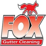 Fox Gutter Cleaning - Cleaning Services in Natick