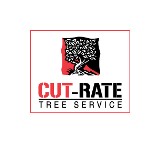 Cut Rate Tree - Other in Swampscott