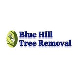 Blue Hill Tree Removal - Tree Services in Stoughton