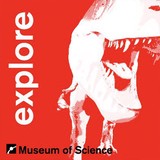 Museum Of Science - Gift Shops in Boston