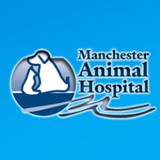 Manchester Veterinary Clinic - Veterinarians/Vets in Manchester-by-the-Sea