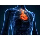Cenegenics Boston - Medical Centers in Boston