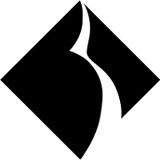 Black Diamond Networks Inc - Business Consulting in Andover