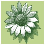 The Seedling Specialist - Other in Townsend