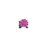 Five Star Gardens - Landscape Architects in Palmer