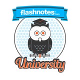 Flash Notes Inc - Software Development in Boston