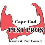 Mold Care Pros - Pest Control in Sandwich