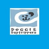 Doggie Daytrippers LLC - Pet Services in Boston