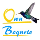 Harry Hunt and Associates , Ownboquete.com - Other in Orleans