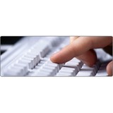 Intellitech Group Inc - Other in Westport