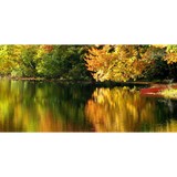 Wayne Firstenberg - Other in Mendon