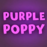 Purple Poppy - Other in Mashpee