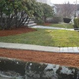 Christopher Landscaping - Landscaping in Waltham