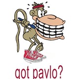 Pavlo John A DDS - Orthodontists in Peabody