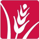 Boston Food Bank - Social Services in Boston