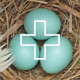 Toth & CO - Advertising in Cambridge