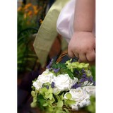 Boston Wedding Photographers - Wedding in Boston