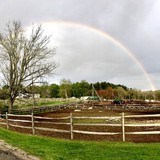 Stowe Farm - Other in Millbury