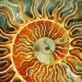 Seed Systems Inc - Business Consulting in Wendell