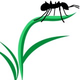 Fords Hometown Services - Pest Control in Worcester