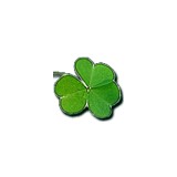 Clover Landscaping CO - Landscape Architects in Falmouth