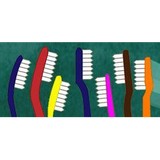 Dr. Frederick Solomon DMD - Dentists in Melrose
