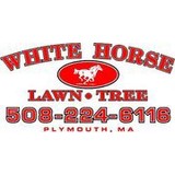 White Horse Lawn & Tree - Tree Services in Plymouth