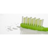 Ofelia Villanueva - Dentists in Quincy