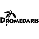 Dromedaris USA Inc - Shoe Stores in Franklin