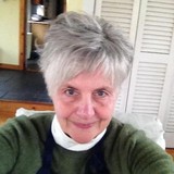 Tinytown Gazette - Other in Scituate