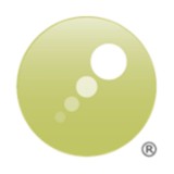 Pongo Software LLC - Other in Northborough