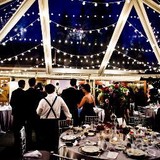 Classical Tents - Other in Lenox