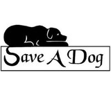 Save A Dog - Other in Wayland