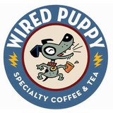 Wired Puppy - Other in Provincetown