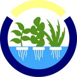 Gyostuff - Garden Services/Maintenance in Cambridge