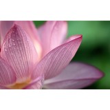Integrating Yoga Counseling - Other in Barnstable